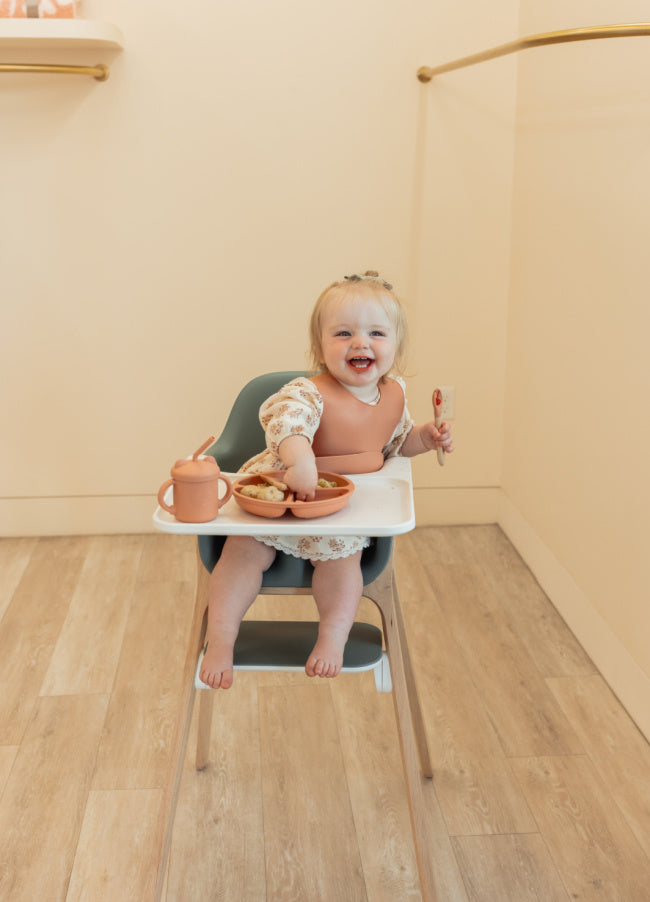 Baby Blues & Pink- My First Meal Set