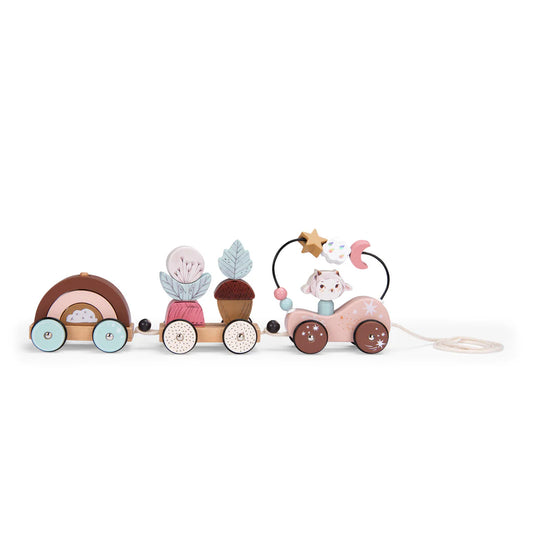 Moulin Roty-Pull Along Activity Train