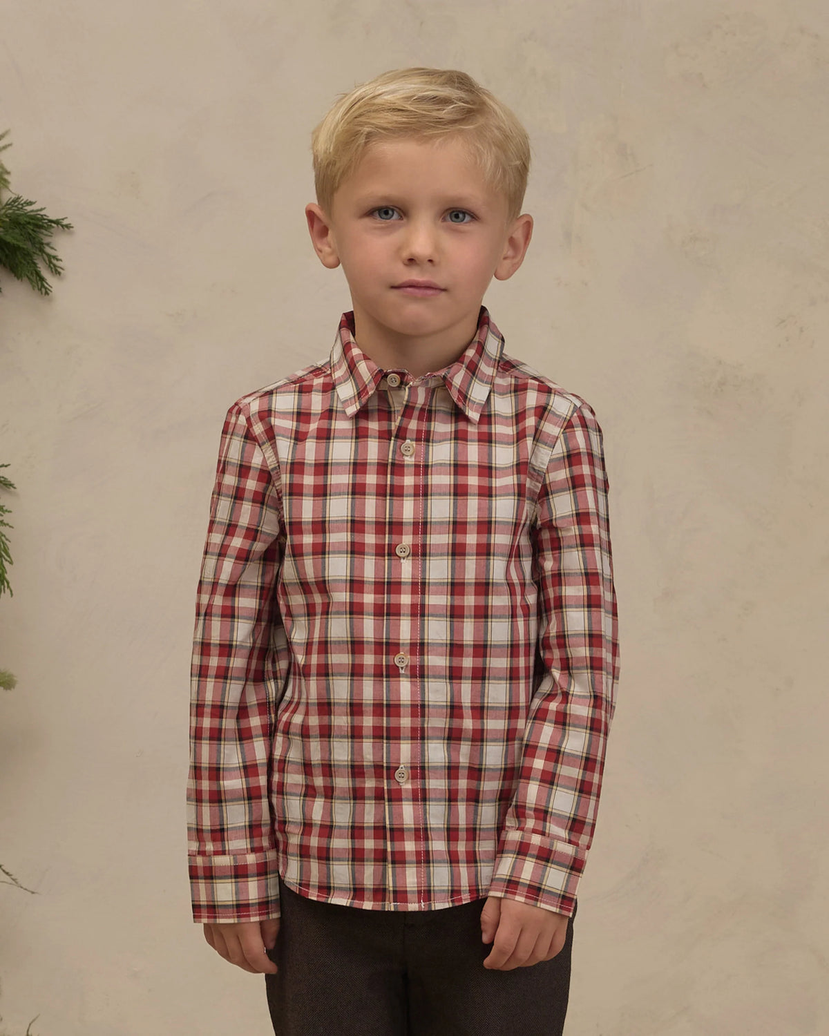 Harrison  Button Down
