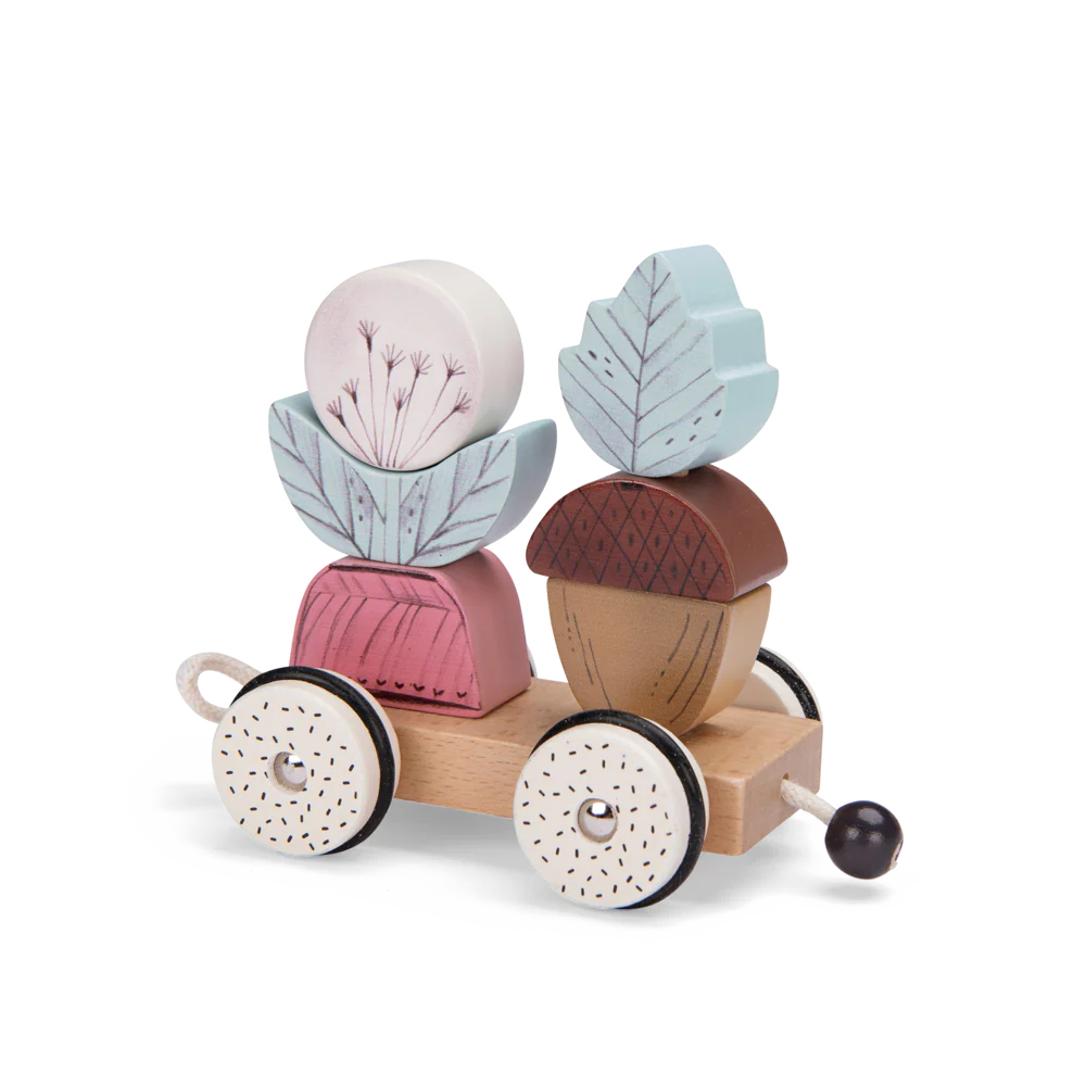 Moulin Roty-Pull Along Activity Train