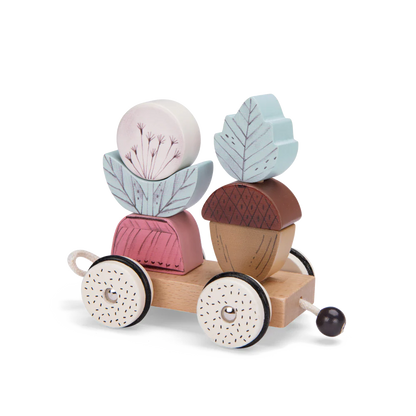 Moulin Roty-Pull Along Activity Train