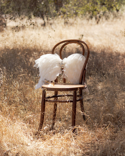 Angel Wings