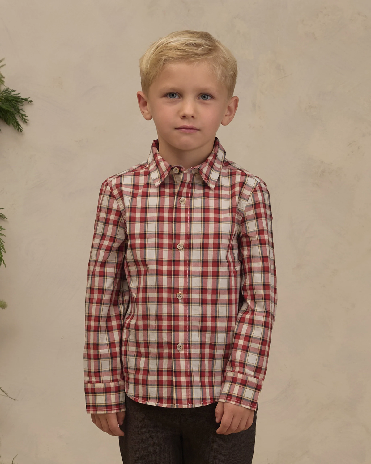 Harrison Button Down