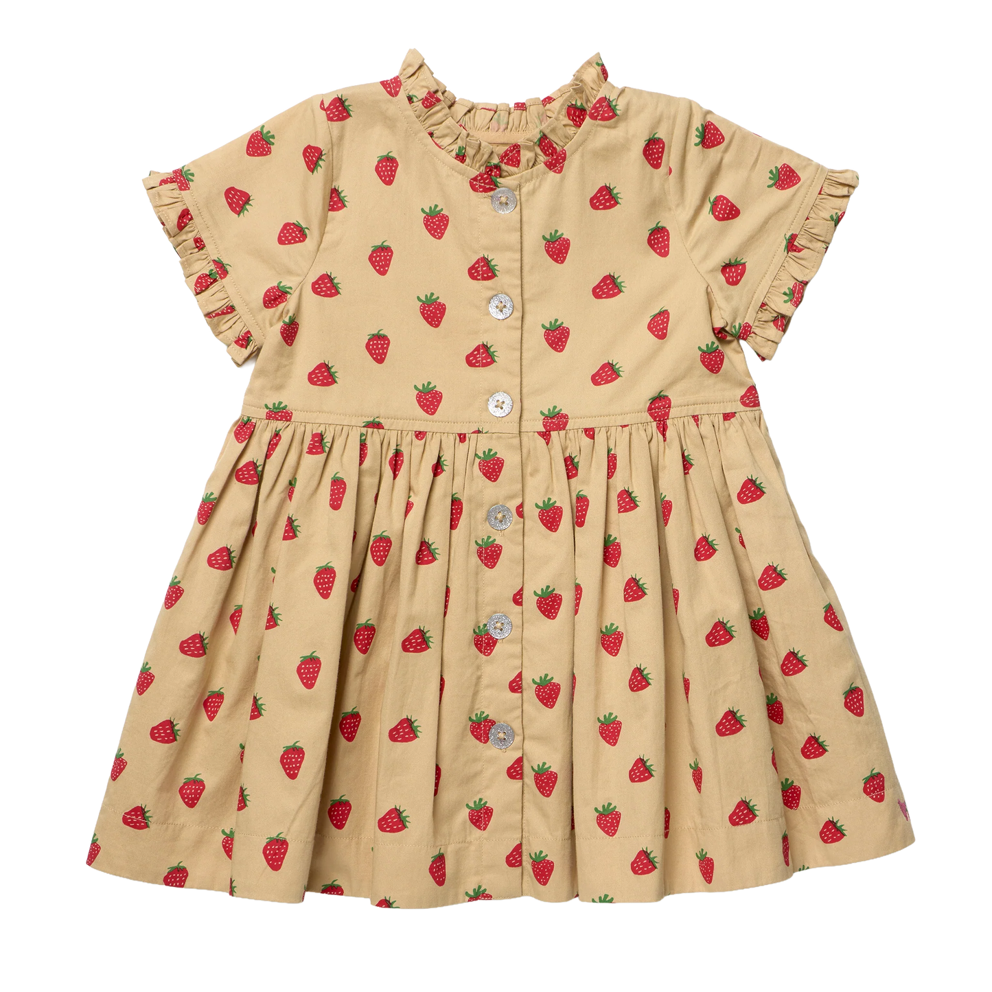 Girls Autumn Dress