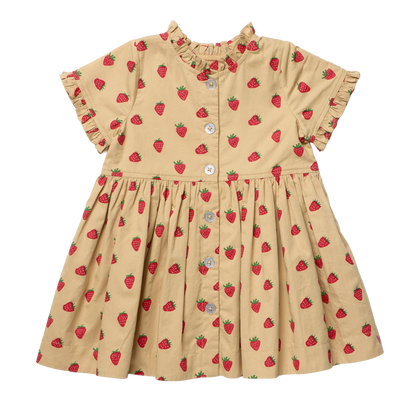 Girls Autumn Dress