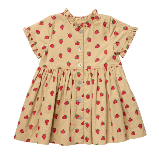 Girls Autumn Dress