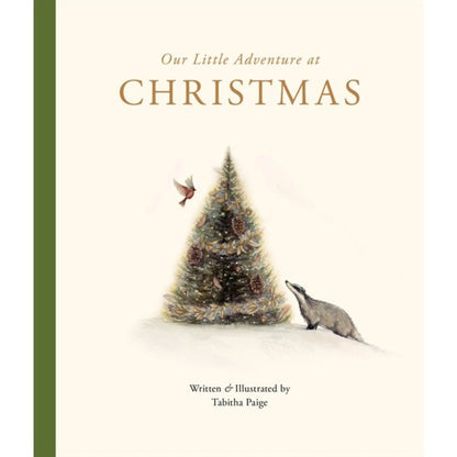Our Little Adventure At Christmas Book
