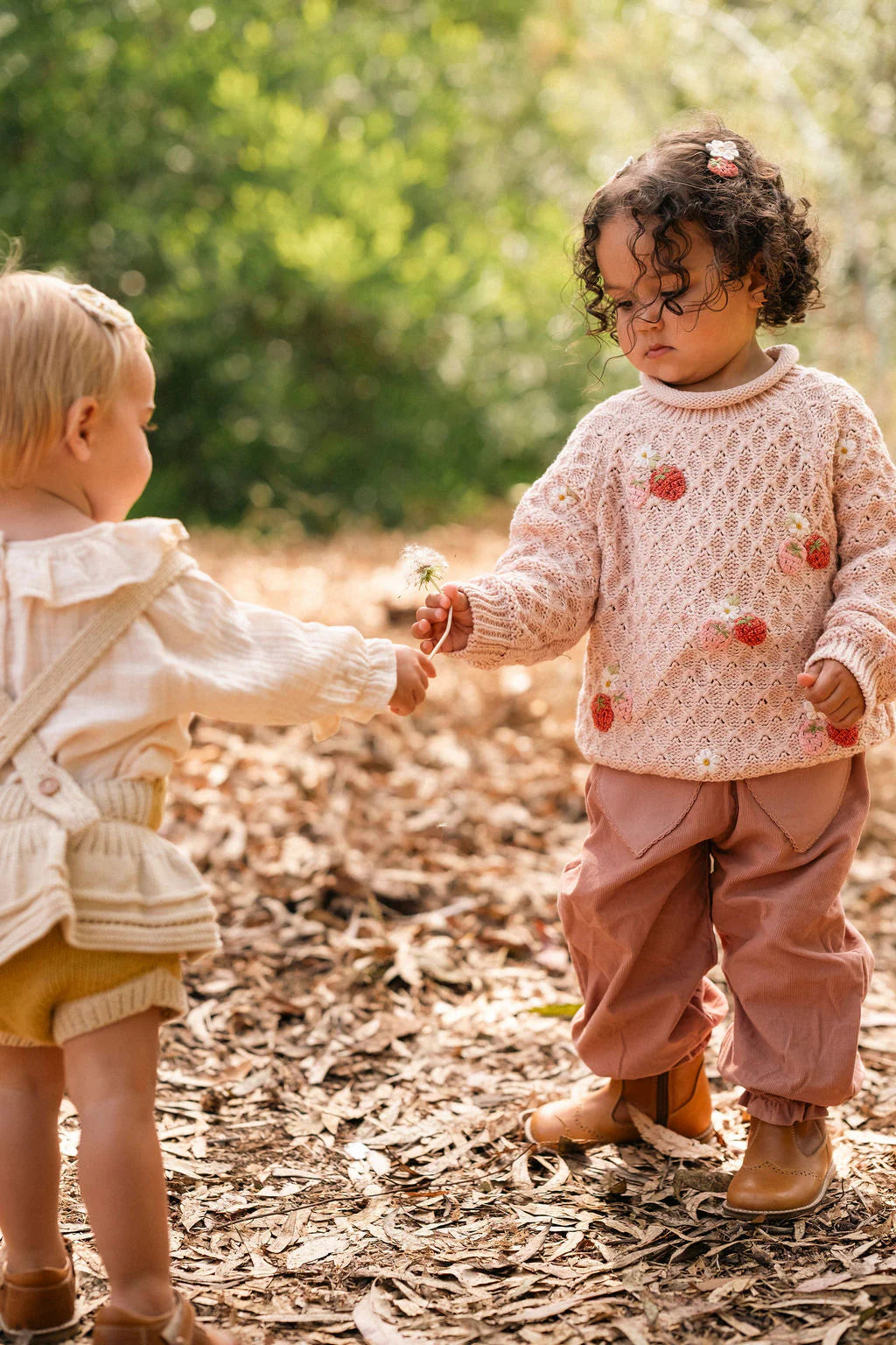 Wild Wawa-Strawberry Fields Sweater